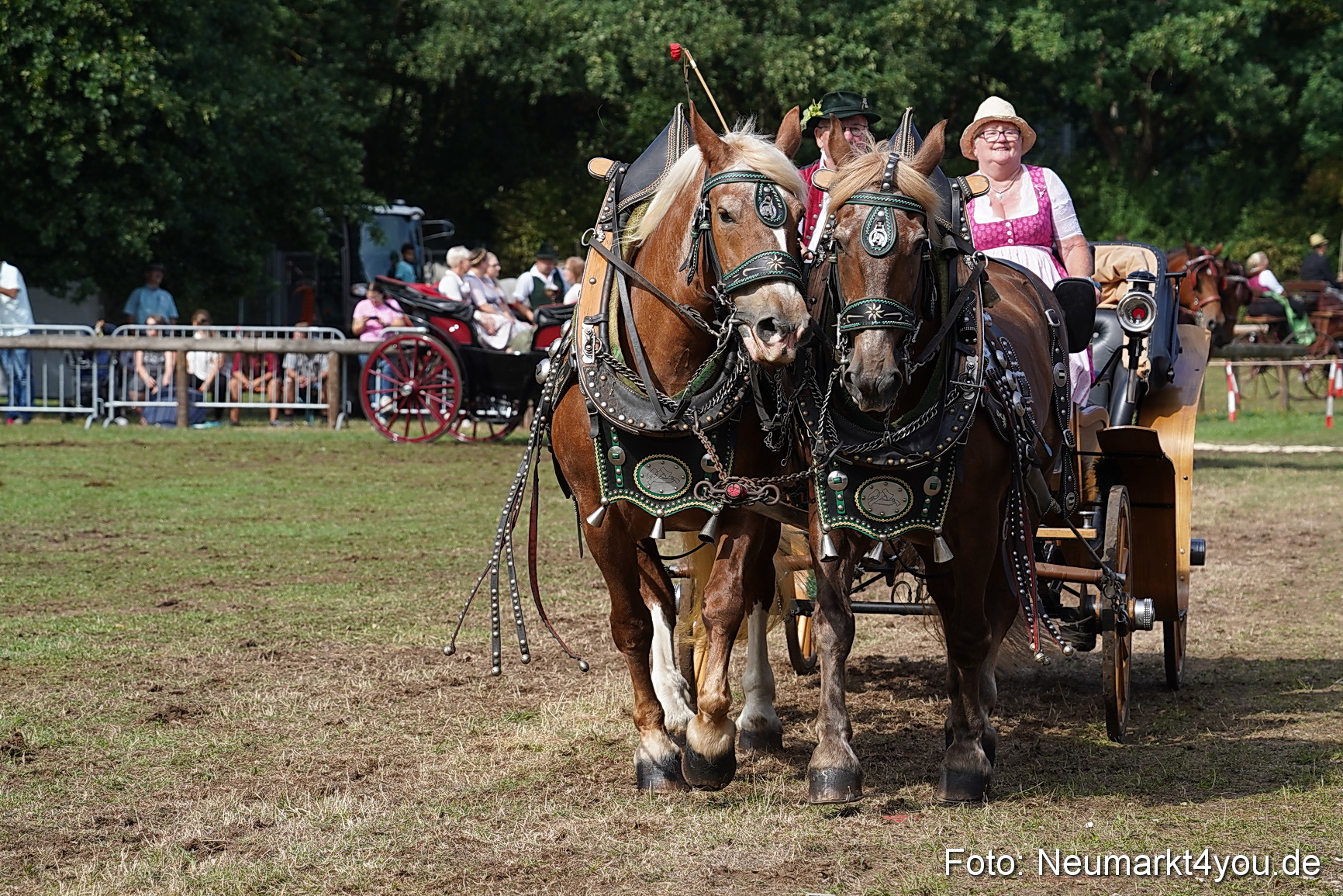 Pferde und Fohlenschau 2022 0229 